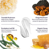 Illustration of Tremella Mushroom, Chaga Mushroom, Eucalyptus Leaf Oil, Organic Honey, and a cream on a white background.